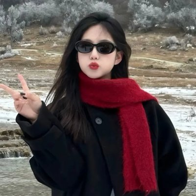 双子座计划